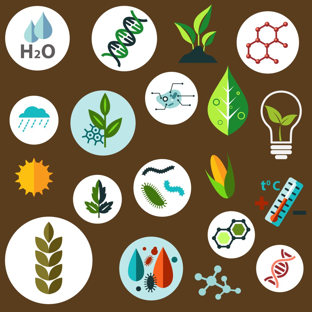 Science and agronomic research flat icons with agricultural crops, chemical formulas, pests, models of DNA and cells, weather, sun, water and temperature control symbols