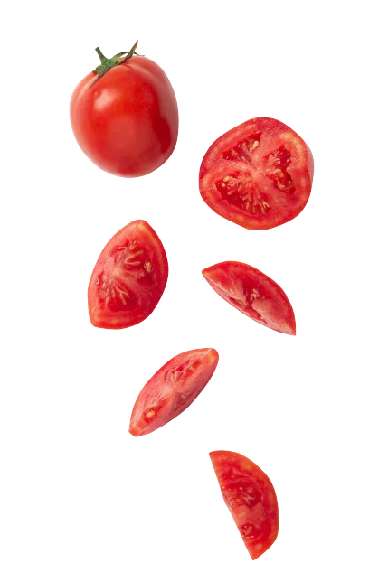 tomates - macrobacter